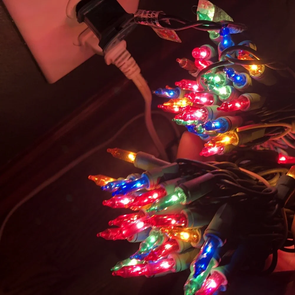 100-Count Multicolor Holiday Time Mini Christmas Lights Green Wire